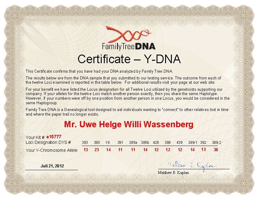 Zertifikat Y-DNA 12 Marker