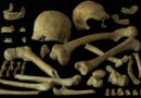 Speisezettel: Neandertaler und moderne Menschen aßen ähnlich
