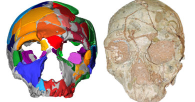 Homo sapiens hat Afrika schon 150.000 Jahre früher erreicht als gedacht
