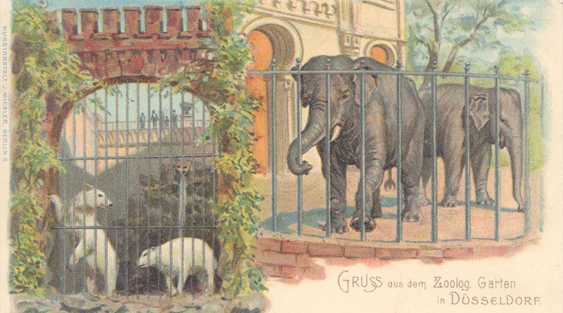 Ansichtskarte Zoo - Bild: Stadtarchiv Düsseldorf