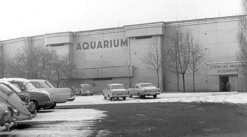 Bild: Aquazoo Löbbecke Museum