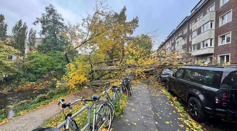 Sturmtief Joshua - Bilder: Feuerwehr Düsseldorf