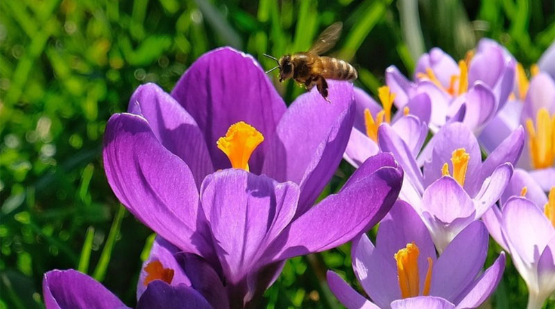 Das Blaue Band im Rheinpark - &copy; Landeshauptstadt D&uuml;sseldorf/Wilfried Meyer