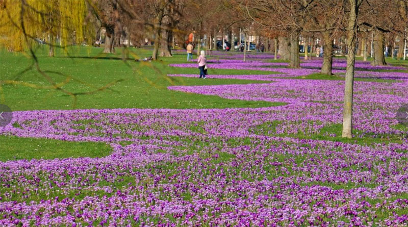 Das Blaue Band im Rheinpark - &copy; Landeshauptstadt D&uuml;sseldorf/Wilfried Meyer