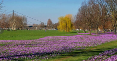 Das Blaue Band im Rheinpark - © Landeshauptstadt Düsseldorf/Wilfried Meyer