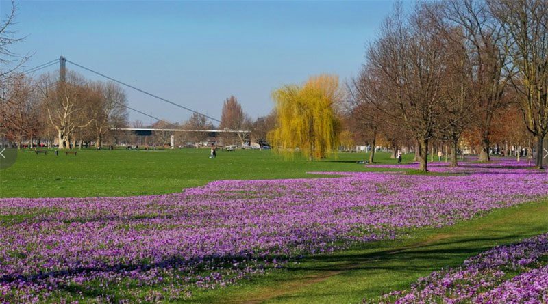 Das Blaue Band im Rheinpark - © Landeshauptstadt Düsseldorf/Wilfried Meyer