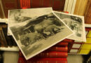 Aquazoo Löbbecke Museum: 1.000 historische Fotografien über 150 Jahre Zoogeschichte in Düsseldorf - Copyright: Aquazoo Löbbecke Museum