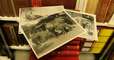 Aquazoo Löbbecke Museum: 1.000 historische Fotografien über 150 Jahre Zoogeschichte in Düsseldorf - Copyright: Aquazoo Löbbecke Museum