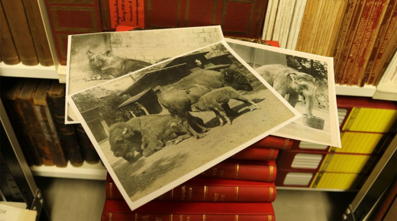 Aquazoo Löbbecke Museum: 1.000 historische Fotografien über 150 Jahre Zoogeschichte in Düsseldorf - Copyright: Aquazoo Löbbecke Museum