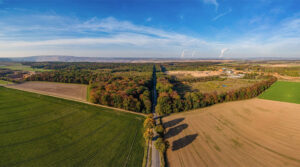 Hambacher Forst wird dauerhaft als Naturschutzgebiet geschützt