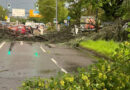 19. Juni 2026 Unwetter-System: Regen, Sturm und Gewitter: Feuerwehr Düsseldorf rückt zu rund 100 Einsätzen aus