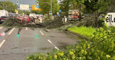 19. Juni 2026 Unwetter-System: Regen, Sturm und Gewitter: Feuerwehr Düsseldorf rückt zu rund 100 Einsätzen aus