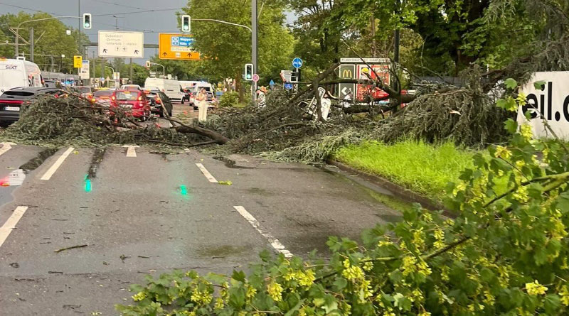 19. Juni 2026 Unwetter-System: Regen, Sturm und Gewitter: Feuerwehr Düsseldorf rückt zu rund 100 Einsätzen aus