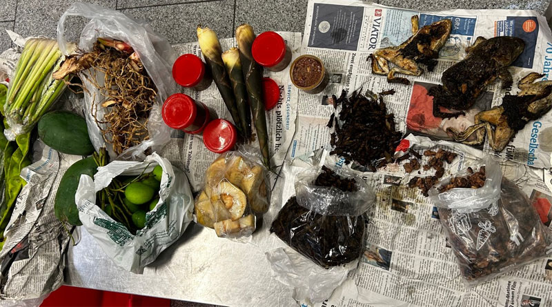 Hauptzollamt Düsseldorf: Frösche, Geckos, Insekten und kleingeschnittene Schlangen im Gepäck