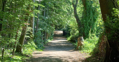 Wald-Klima-Pfad im Aaper Wald vollständig fertiggestellt